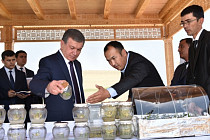 В Андижанской области планируют выращивать безвирусные семена и саженцы