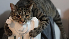 Отопительный сезон в Ташкенте начинается с 16 октября