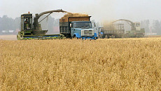 Узбекским фермерам заморозили долги на три года и снизили проценты по кредитам