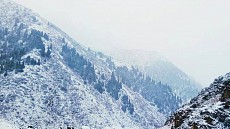 Всемирный горный форум пройдет в Бишкеке 23-26 октября