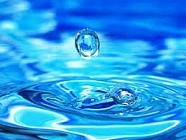 Мирзиёев қишлоқ хўжалигида сувдан омилкорона фойдаланишга урғу берди