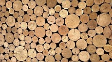 Ўзбекистон Россия ёғочини сотиб олишга $267 млн сарфлади ва импортчилар орасида учинчи ўринни эгаллади