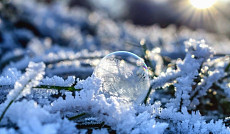 В субботу на всей территории Узбекистана ожидается погода без осадков