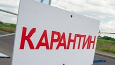 В Ташкентской области усилят карантинные меры