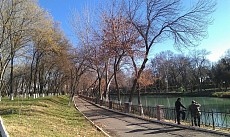 Шанба куни Ўзбекистон ҳудудининг катта қисмида ёғингарчиликсиз об-ҳаво бўлиши башорат қилинмоқда