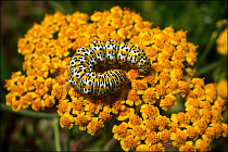 Почти на всей территории Узбекистана установится погода без осадков в среду