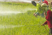 Ўзбекистон доимий органик ифлослантирувчи моддалар тўғрисидаги Стокгольм конвенциясида иштирок этадиган бўлди