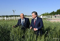 Даромадлилик – иқтисоднинг барча соҳаларида асосий мезон - президент