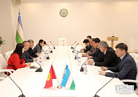 Узбекистан начнет поставлять в Кыргызстан семена растений, пригодных для выращивания в жарком климате