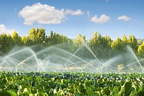 Ўзбекистонда янги махсус агентлик ташкил этилди 