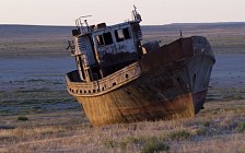 В Узбекистане будет реализован проект «Мой сад в Аральском море»