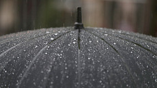 В среду на большей половине территории Узбекистана прогнозируется дождь 