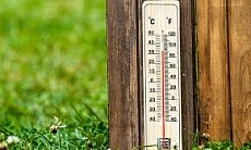 Пайшанба куни Ўзбекистоннинг барча ҳудудларида ҳаво ҳарорати 40 даража атрофида ва ундан юқори бўлади