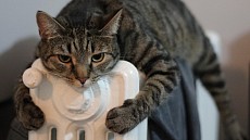 Тошкентда иситиш мавсуми 16 октябрдан бошланади