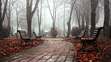 На большей территории Узбекистана во вторник установится погода без осадков