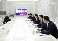 Тошкентда яна бир декоратив боғ ва "Тинчлик дарахти" пайдо бўлади