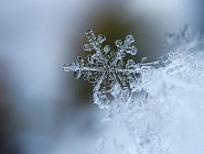 Душанба куни Ўзбекистоннинг фақат бир неча вилоятида қор ёғиши ва туман тушиши кутилмоқда