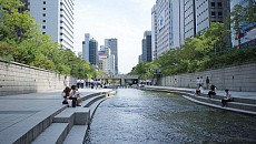 Почти 30 человек погибли в результате жары в Южной Корее