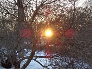 Ўзбекистоннинг жанубий ҳудудларида ҳаво 12 даражагача қизийди  