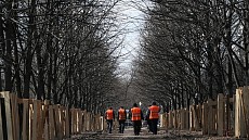 В Узбекистане планируют выплачивать ряд надбавок работникам по благоустройству