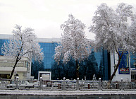 В пятницу почти на всей территории Узбекистана сохранится теплая погода без осадков