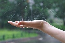 Пайшанба куни деярли бутун Ўзбекистон ҳудудида ёмғир ёғиши кутилмоқда