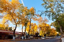 Душанба куни бутун Ўзбекистон ҳудудида ҳақиқий баҳорий об-ҳаво бўлиши башорат қилинмоқда