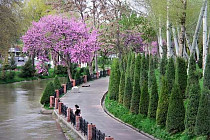 В четверг температура воздуха в столице Узбекистана может приблизиться к 30-градусной отметке