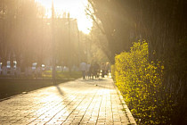 Почти на всей территории Узбекистана в четверг температура воздуха прогреется выше 30 градусов