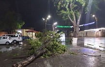 В Узбекистане один человек погиб, около 30 пострадали из-за сильного ветра