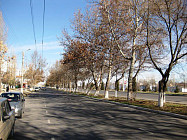 Почти до 30 градусов тепла прогреется воздух в Сурхандарьинской области