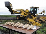 Президент Узбекистана поручил построить сахарный завод в Зафарабадском районе Джизакской области