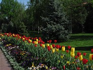 Жума куни Ўзбекистоннинг деярли барча ҳудудларига об-ҳаво салқин бўлади