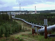 Россия Ўзбекистонга синов тариқасида нефть етказиб беришни бошлади 