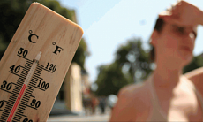 На всей территории Узбекистана прогнозируется повышение температуры во вторник