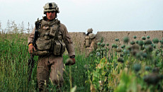 Талибы потеряли около $200 млн дохода от антинаркотических операций с участием США 