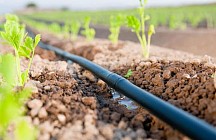 ФАО бепул онлайн ўқув курсларида қатнашиш учун аризалар қабул қилиш ҳақида эълон қилди