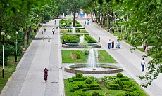 Ўзбекистоннинг ҳар бир вилояти марказида “яшил ҳудудлар” ташкил этилади