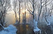 Синоптиклар чоршанба куни бутун Ўзбекистон ҳудудида ёғингарчиликсиз туманли об-ҳаво бўлишини прогноз қилишмоқда 