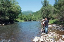 Сешанба куни бутун Ўзбекистон ҳудудида ёмғир тўхтайди 