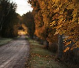 Чоршанба куни Ўзбекистоннинг қатор вилоятларида ҳаво булутли бўлиб ўзгариб туради