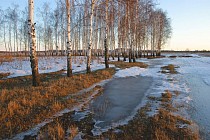 Деярли бутун Ўзбекистон ҳудудида ёғингарчиликсиз илиқ об-ҳаво бўлиши кутилмоқда