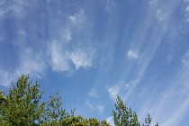 Сешанба куни Қорақалпоғистон ва Хоразм вилояти ҳамда Фарғона водийсида ёғингарчиликлар кутилмайди