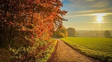 В среду температура воздуха прогреется на всей территории Узбекистана выше 27 градусов 