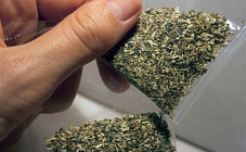 Қозоғистон билан чегарада ошқозонида наркотиклар бўлган ўзбекистонлик ушланди