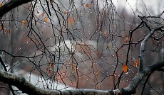 Чоршанба куни Ўзбекистоннинг қатор вилоятларида ёғингарчилик бўлиб, ҳароратнинг пасайиши прогноз қилинмоқда