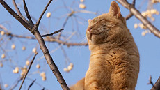 Погода без осадков сохранится на всей территории Узбекистана в четверг