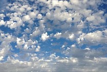 Чоршанба куни Ўзбекистоннинг барча ҳудудларида ҳаво булутли бўлиб, ўзгариб туради