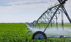 Наманганда агросаноат кластери ташкил этилди