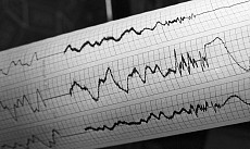 На границе Кыргызстана и Узбекистана произошло землетрясение
